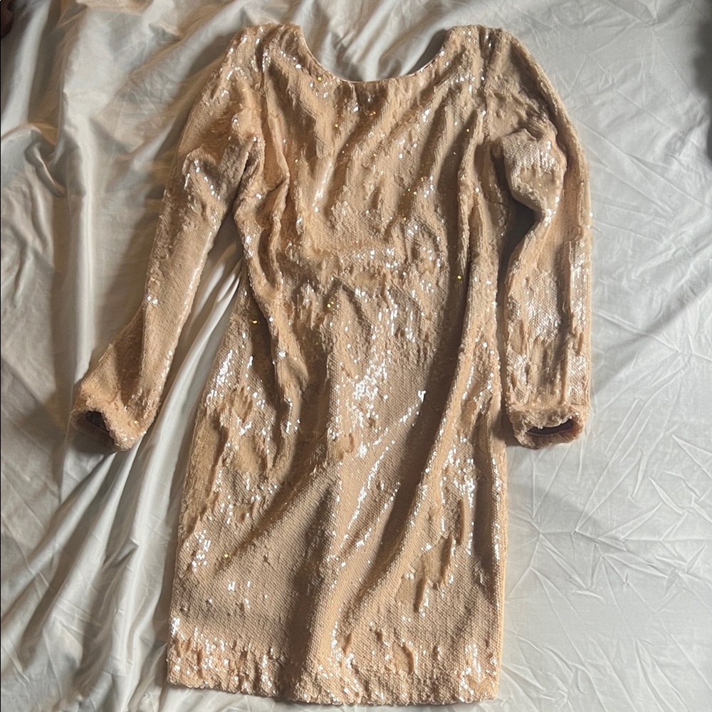 Dress the Population Sequin Long Sleeve Dress in Beige